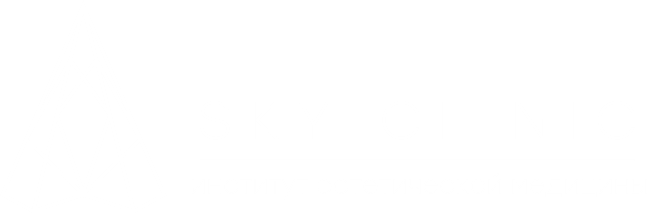 Sky Clinic институт эстетической медицины в Москве